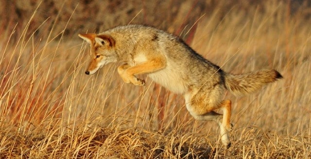 découvrez la signification et les interprétations du rêve de noyade en islam, un symbole riche en messages spirituels et psychologiques selon la tradition islamique.