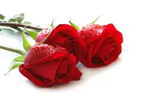 découvrez la signification et l'interprétation des rêves liés à la couleur rose dans la tradition islamique, selon les enseignements du coran et les sages conseils des spécialistes.