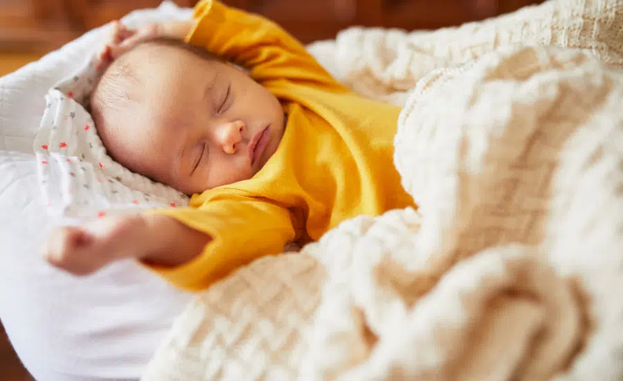 découvrez les significations et interprétations de rêver de poux en islam, un symbole riche en messages spirituels et personnels selon la tradition islamique.