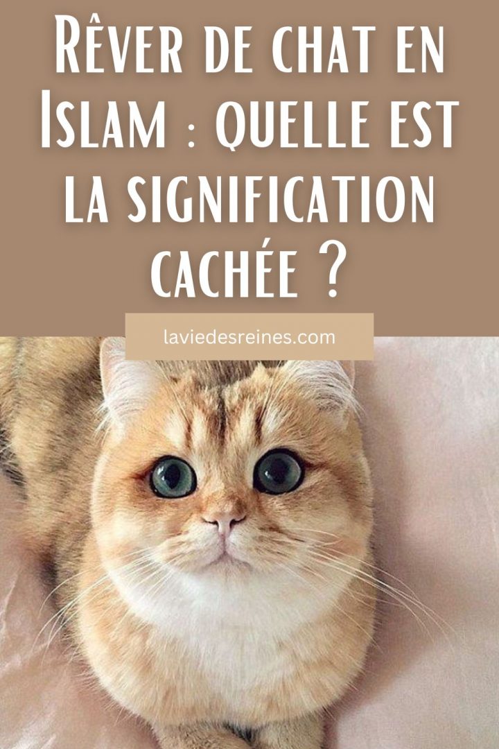 découvrez l'interprétation des rêves de rencontre en islam, leurs significations spirituelles et les conseils pour mieux comprendre ces symboles selon la tradition islamique.