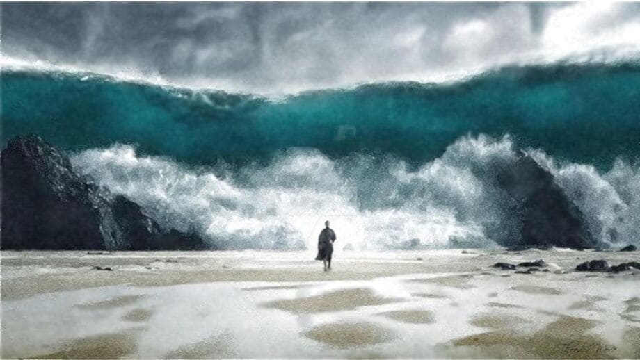 découvrez la signification de rêver de tortue en islam et les interprétations traditionnelles associées à ce symbole dans les rêves selon la culture islamique.