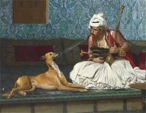 découvrez la signification du rêve d'orque en islam et interprétez ce symbole puissant selon les traditions islamiques.